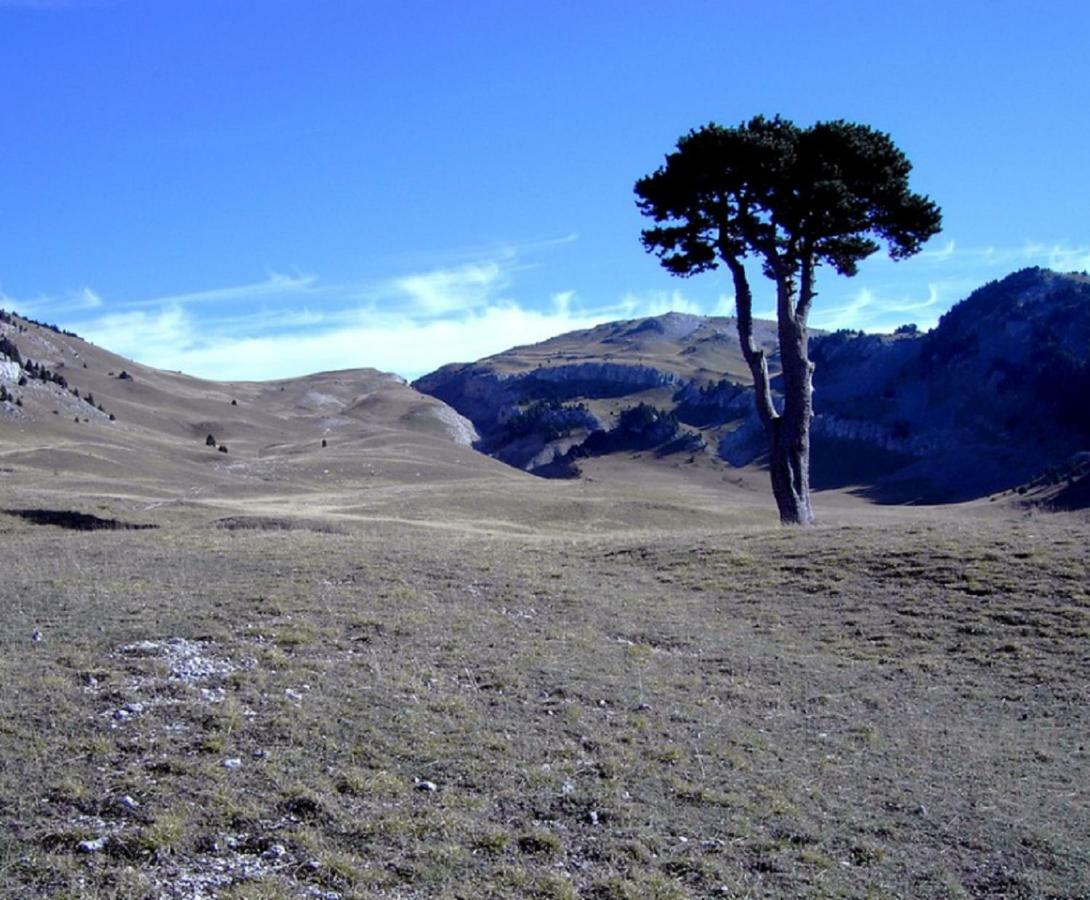 Okami Du Vercors Saint-Laurent-en-Royans Dış mekan fotoğraf